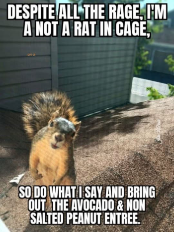 1789599386344.png