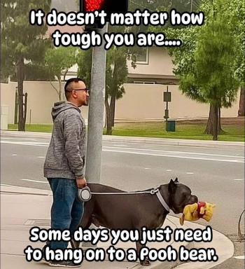 1789601162186.png