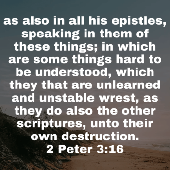 IMG_0295.png