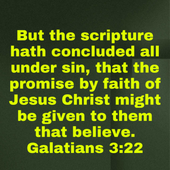 IMG_4577.png