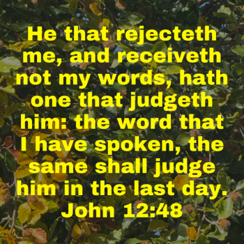 IMG_0296.png