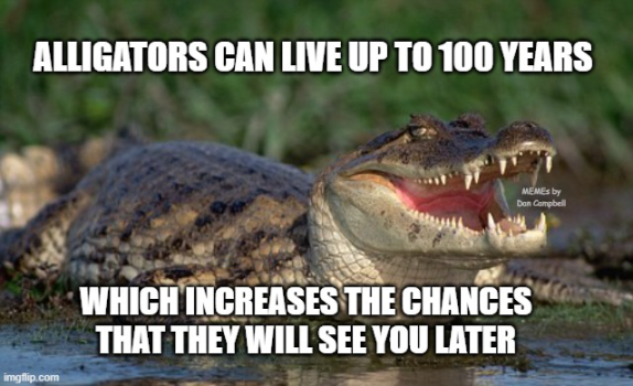 1789961290252.png