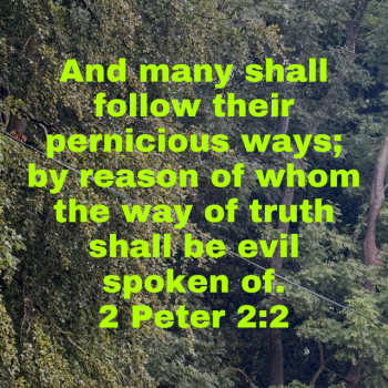 IMG_0724.png IMG_0724.png