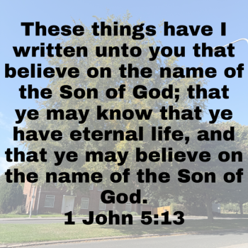 IMG_0725.png IMG_0725.png