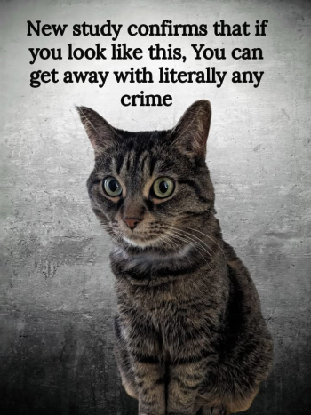 1790028122848.png