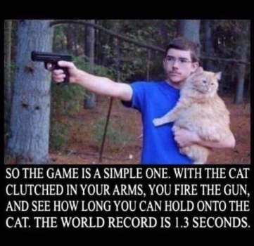 1790037041177.png