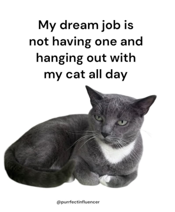 1790038699897.png
