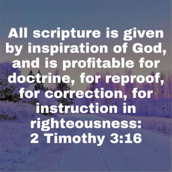 IMG_0726.png