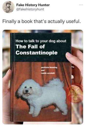 1790209684060.png