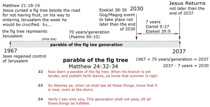 parable of the fig tree.jpg