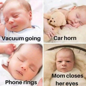 1790268217282.png