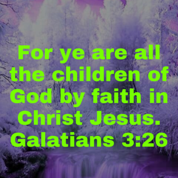 IMG_3736.png