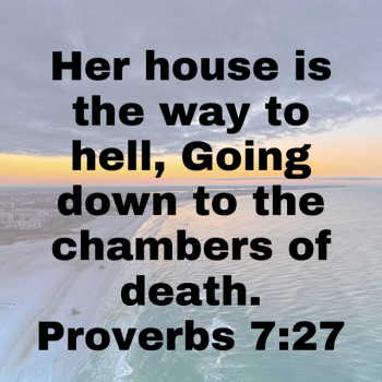 IMG_0729.png
