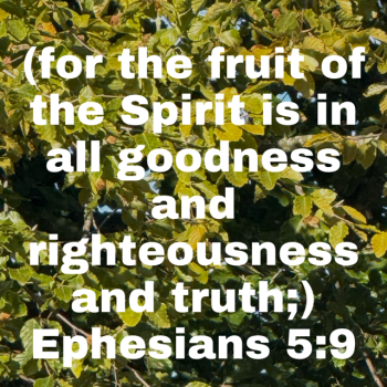 IMG_0731.png