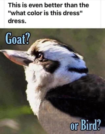 1790448108723.png