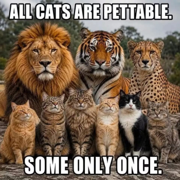 1790466585964.png