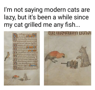 1790469431427.png
