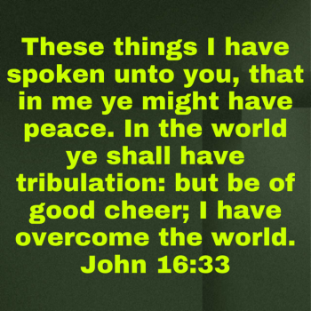 IMG_0734.png