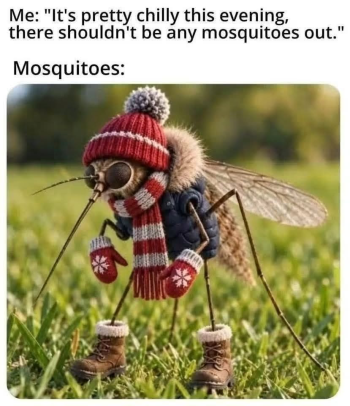 1790594533774.png