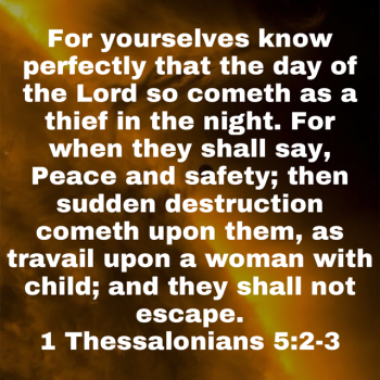 IMG_0742.png