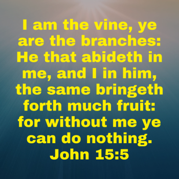 IMG_0747.png
