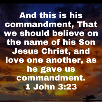 IMG_0750.png