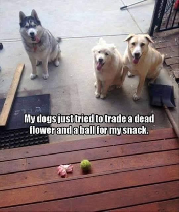 1790797457443.png