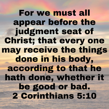 IMG_0307.png