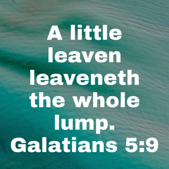 IMG_0751.png IMG_0751.png