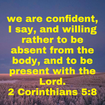 IMG_0309.png