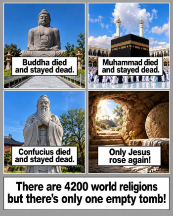 1790943756061.png