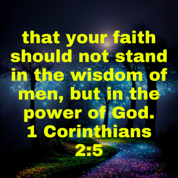 IMG_0313.png