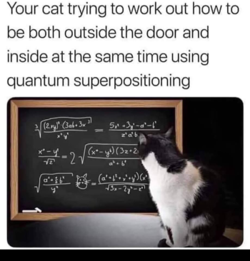 1791032853400.png
