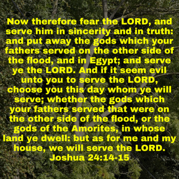 IMG_0318.png