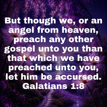 IMG_0323.png