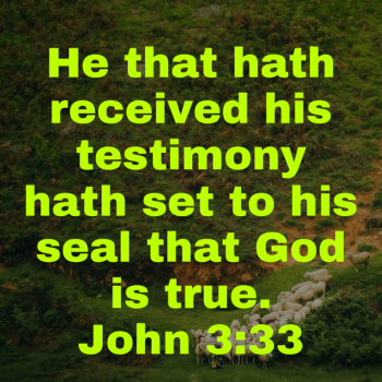 IMG_0329.png IMG_0329.png