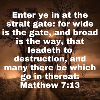 IMG_0324.png