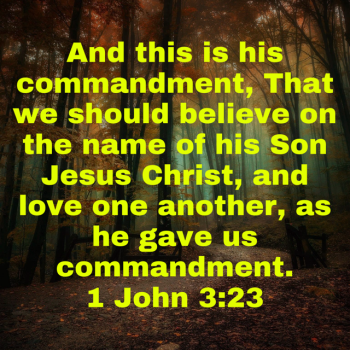 IMG_0759.png