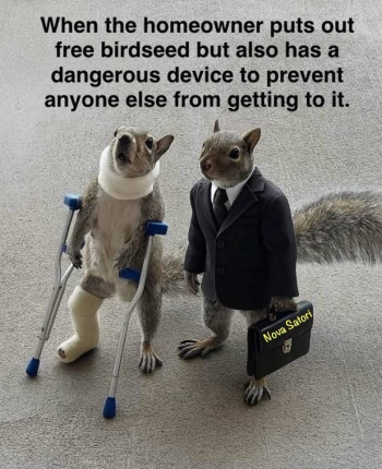 1791322765834.png