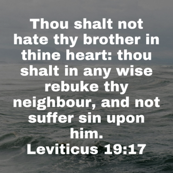 IMG_0758.png