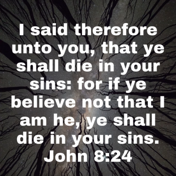 IMG_0326.png