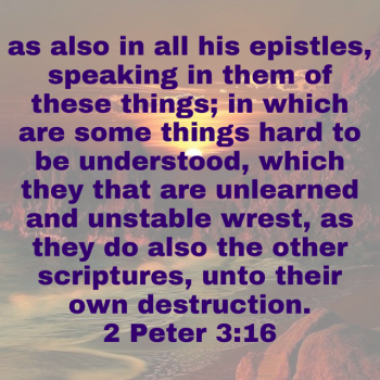 IMG_0332.png