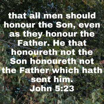 IMG_0331.png