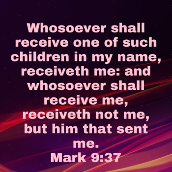 IMG_4739.png