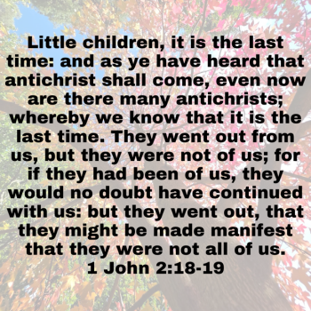IMG_0333.png