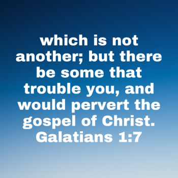 IMG_0301.png
