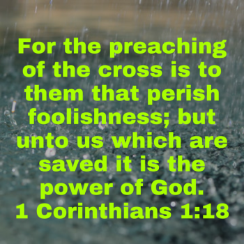 IMG_0312.png IMG_0312.png