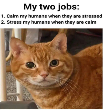1791505759589.png