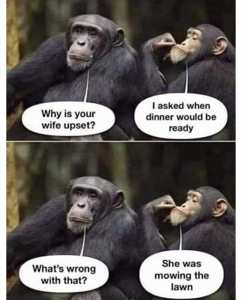 1791582829424.png