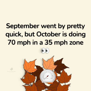 1791665841510.png
